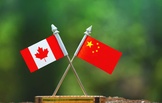 戰火降溫信號？陸給加拿大油菜籽「多活半年」