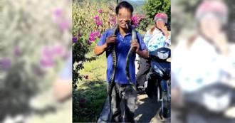 陸男讓眼鏡王蛇鑽褲管被咬死 把毒蛇當「過山刀」釀悲劇