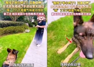 婚戒掉了！ 退役警犬帮找回 女子送狗粮感谢