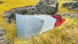 勇鷹副翼殘骸打上岸 納事故鑑定