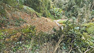 古坑鄉長戰農業部 勘災費不合理