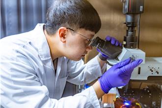 陽明交大突破！毫秒級無線腦波調控技術登國際期刊