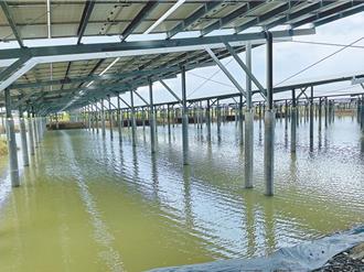 漁電共生7成沒養魚？漁業署駁：計算方式大有問題