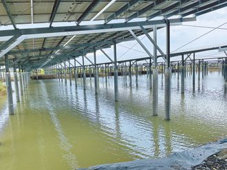 綠能真相曝 趙少康揭「魚死電生」慘況：漁民叫苦連天