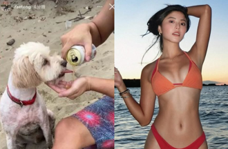 魏如萱情敵「餵狗喝酒」認錯了！悔嘆自省：助長傷害動物