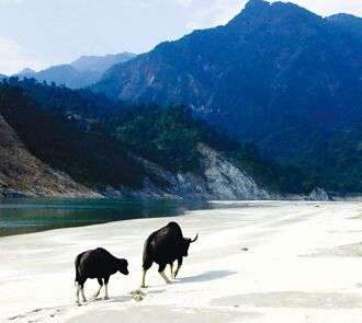 印度也要蓋大壩