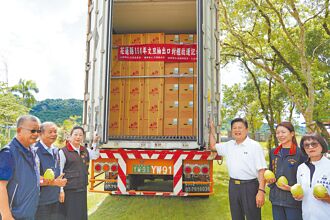 花蓮 文旦柚出口 首入陸山姆會員店