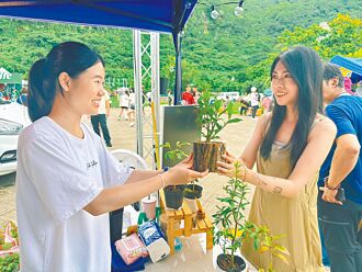 淨化空氣 新北植樹計畫開跑