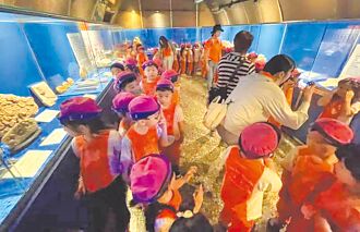 高雄 走過33載 海洋奇珍園年底熄燈