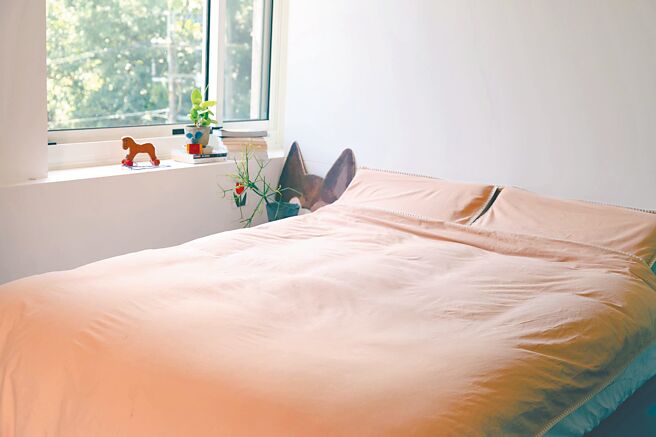 艾禮思山形繡200織水洗棉床寢使用100％純棉，經特殊水洗處理後呈現自然的蓬鬆感與皺褶，吸溼透氣的特性，十分適合台灣氣候。（HOLA和樂家居提供）