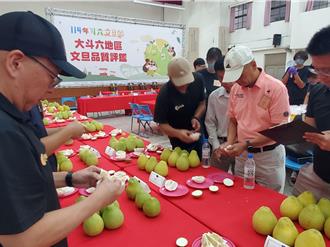 雲林斗六文旦提早採收有苦味 評鑑專家嘆：少了一點驚豔