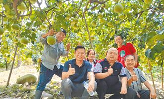 重振白柚風華 二水10月辦評鑑