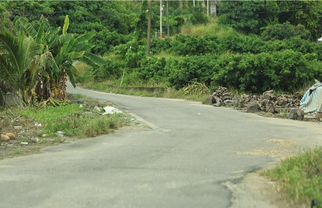 高雄大树山区偏远林地疑遭不肖业者滥垦，盗挖土石后回填废弃物，图为沿途上坡即到回填废弃物之处。（林雅惠摄）