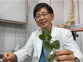 喉咙痛吃「左手香」数年！7旬翁双脚瘫软、大小便失禁