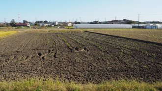 助閒置農田轉型 Netflix購買為期15年的碳信用額度