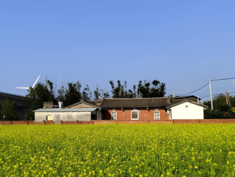 三合院「沒人住」電費飆破25萬 屋主傻眼：又不是挖比特幣