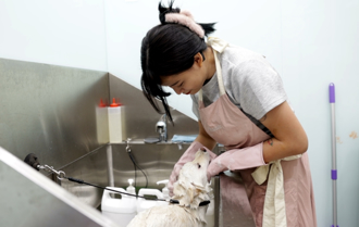 15歲就出社會！聽障女孩求職跌撞　遇暖心闆娘伸手找到自己的光