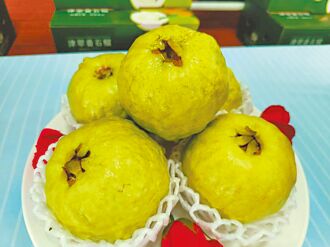 彰化津翠芭樂 農民收益翻倍