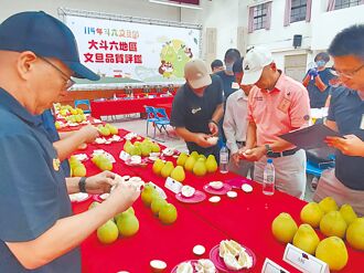 颱風影響 斗六文旦略遜往年