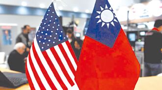 全球兩極化的應變