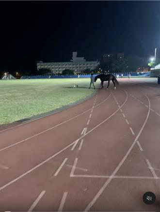 超扯！花莲美崙田径场变「跑马场」？男牵马慢跑民眾傻眼