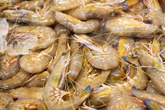 海鮮垃圾打造高效活性碳！「蝦殼」竟能捕捉碳