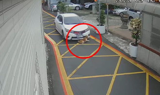 桃園汽車先放慢再「重踩油門」輾壓14歲老狗 離譜衝撞畫面曝光
