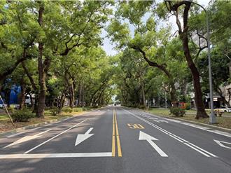 台北市仁愛路有感降溫3°C 「天然冷氣房」真相大公開