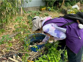 登革熱在社區現蹤！桃園衛生局急清 民眾快做4件事