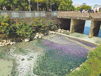 高雄 寶珠溝漂浮惡臭物 居民盼整治