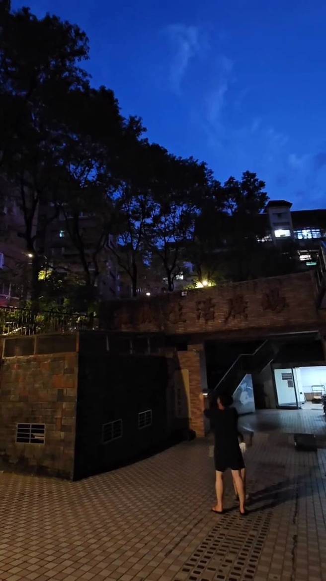 鸟群狂叫居民吵到受不了，男网友开大绝招秒鸟鸣却瞬间安静。(中时资料照)