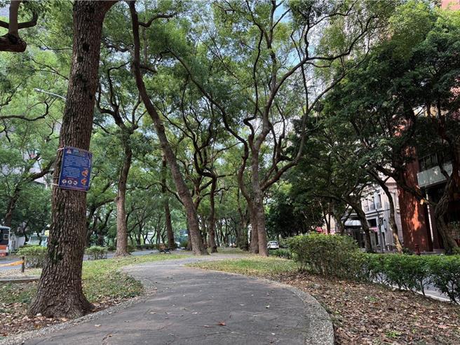 台北市仁愛路中央的「百米林蔭大道複層森林」，相較於周邊柏油路面，平均下降約3°C。（北市公園處提供／張珈瑄台北傳真）