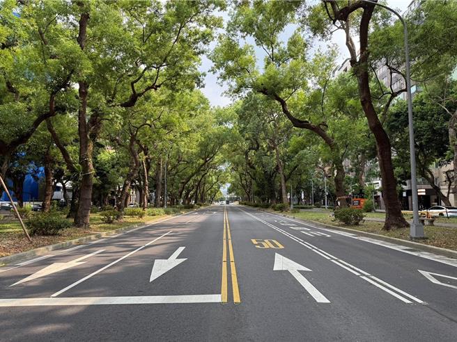 工務局公園處表示，仁愛路林蔭大道成為「天然冷氣房」的降溫祕密，歸功於仁愛路獨特的 「複層森林」 設計。（北市公園處提供／張珈瑄台北傳真）