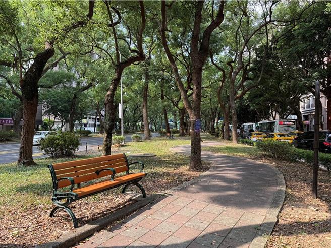 工務局公園處說，仁愛路林蔭大道不只有高聳喬木形成壯觀的樹冠層，下方還有灌木層，也有地被植物，構築出3層遮陽的天然綠色穹頂。（北市公園處提供／張珈瑄台北傳真）
