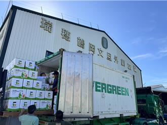 花莲文旦抢攻海外市场 「单粒精装」首度进军新加坡