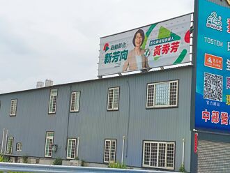 角逐彰縣長 綠營4將拚徵召