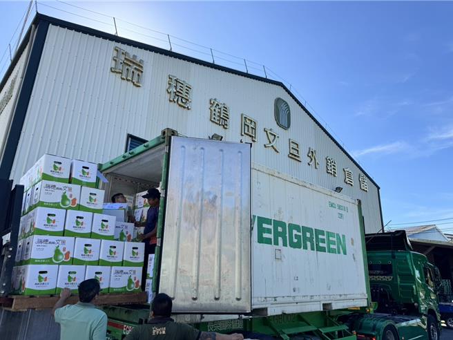 瑞穗鄉農會今正式封櫃，首度以「單粒包裝」方式外銷至新加坡市場。（瑞穗鄉農會提供／王志偉花蓮傳真）