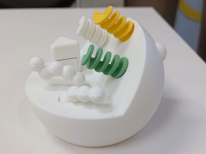 聖安生醫宣布與新加坡生技醫藥大廠ESCO Aster（EA）簽訂「外泌體小分子藥裝載專利技術」授權合約。圖為外泌體示意圖。圖／本報資料照片