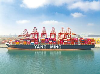 防運價倒掛 海運聯盟停航挺