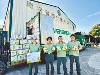 单粒包装 花莲文旦进军新加坡