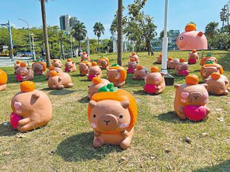 卡比胖拉游進安平 遊客爭睹