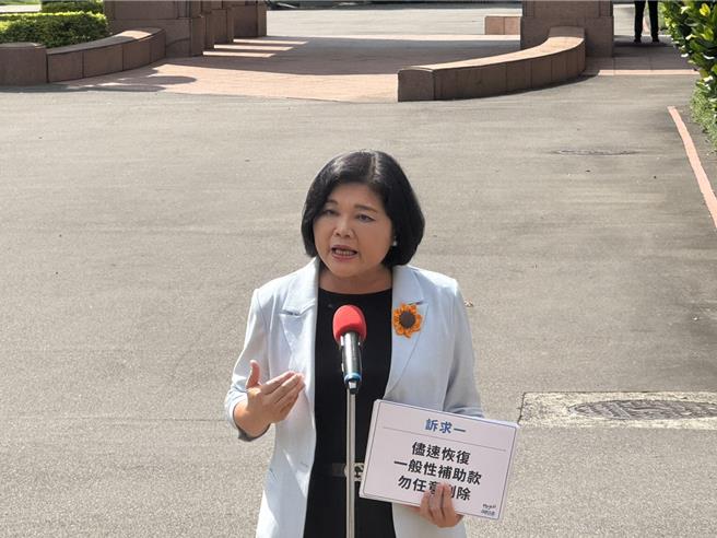 行政院13日邀请地方首长商讨财政收支划分法争议，云林县长张丽善下午出席会议前提出三点诉求。（陈薏云摄）