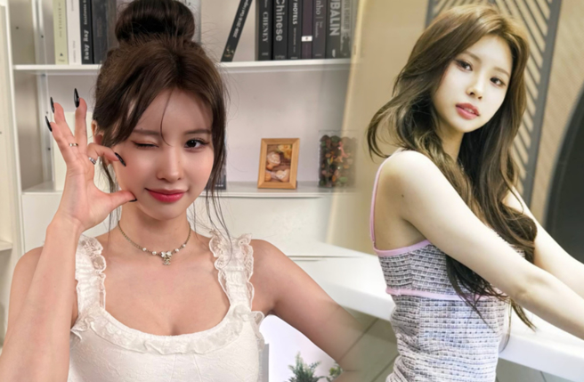 全恩菲來台苦無發展機會，氣到粉絲攻擊怒轟中職六隊沒有眼光。（圖／陳慧玲攝、經紀人提供）