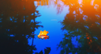 「秋分」前後機會到 4生肖財源滾滾入袋