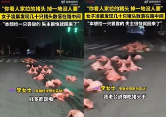 半夜馬路上全是「豬頭」 夫妻竊笑互問：你吃嗎？