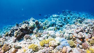 美挺菲 批陸在黃岩島損區域穩定