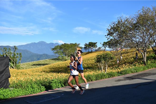 花莲县富里乡今年首度举办「六十石山马拉松勇者挑战赛」，赛事今天登场，吸引2048名跑者齐聚一堂，在纵谷稻田与金黄花海间挥洒汗水。（富里乡公所提供／罗亦晽花莲传真）