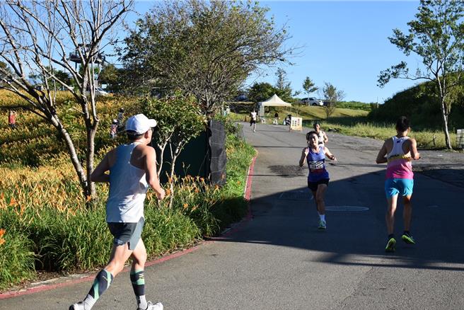花莲县富里乡今年首度举办「六十石山马拉松勇者挑战赛」，赛事今天登场，吸引2048名跑者齐聚一堂，在纵谷稻田与金黄花海间挥洒汗水。（富里乡公所提供／罗亦晽花莲传真）