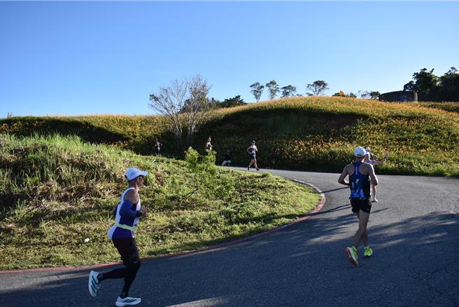 花莲县富里乡今年首度举办「六十石山马拉松勇者挑战赛」，赛事今天登场，吸引2048名跑者齐聚一堂，在纵谷稻田与金黄花海间挥洒汗水。（富里乡公所提供／罗亦晽花莲传真）