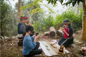 高雄桃源「哈娜谷原生野山茶」勇奪世界綠茶大賽雙金獎